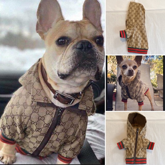 BNIP GUCCI POOCHI GG Monogram Hoodie Pet Jacket - Picture 3 of 8